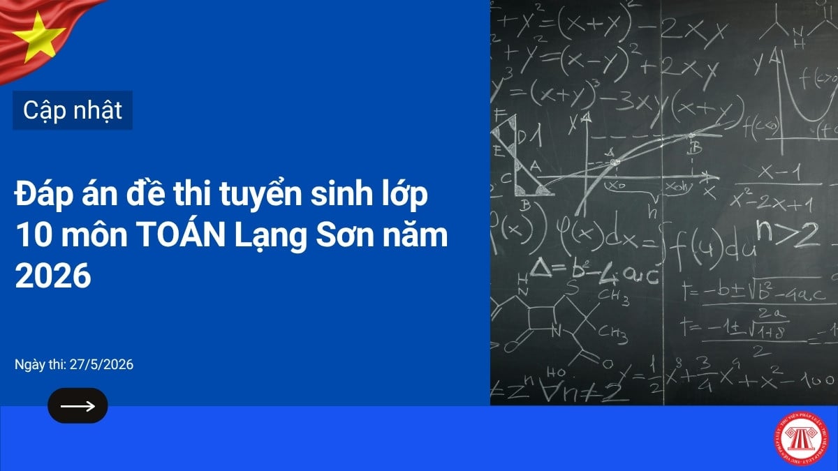 Pháp luật