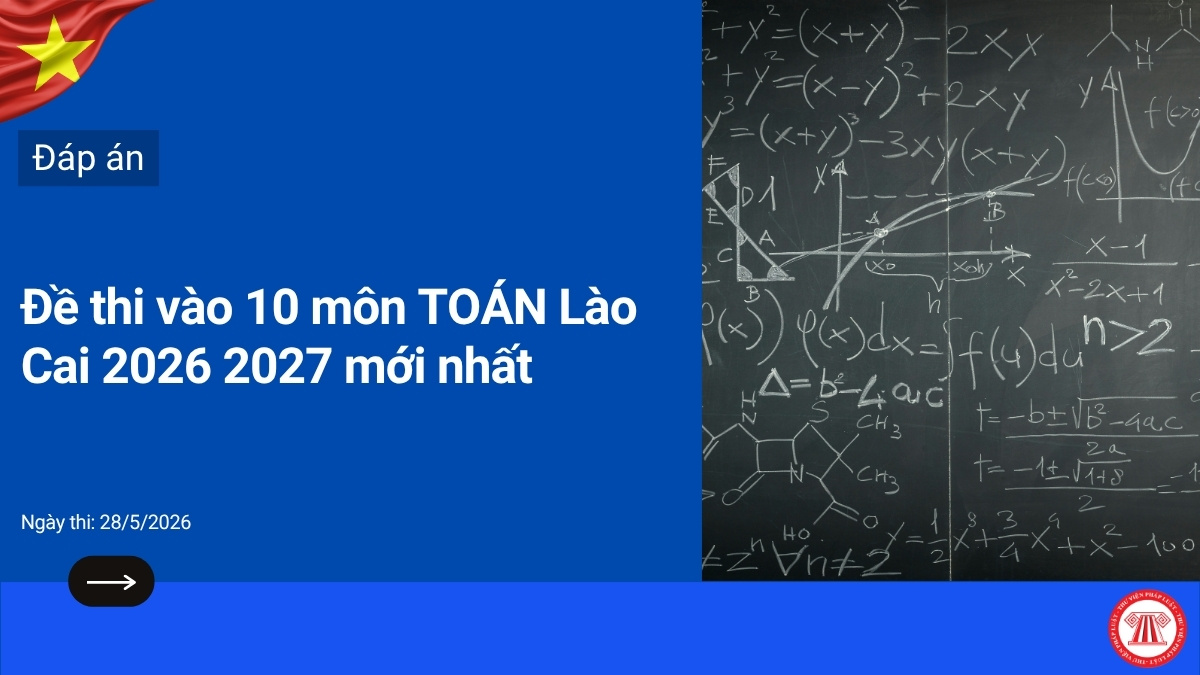 Pháp luật