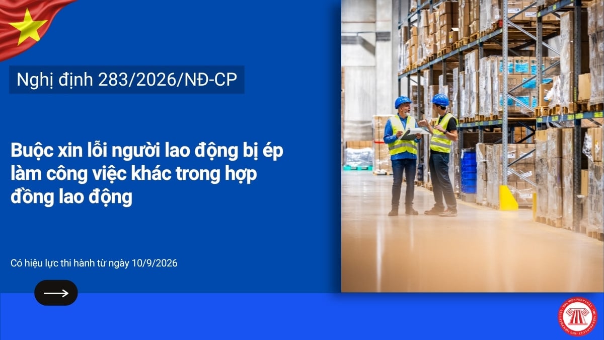 Pháp luật