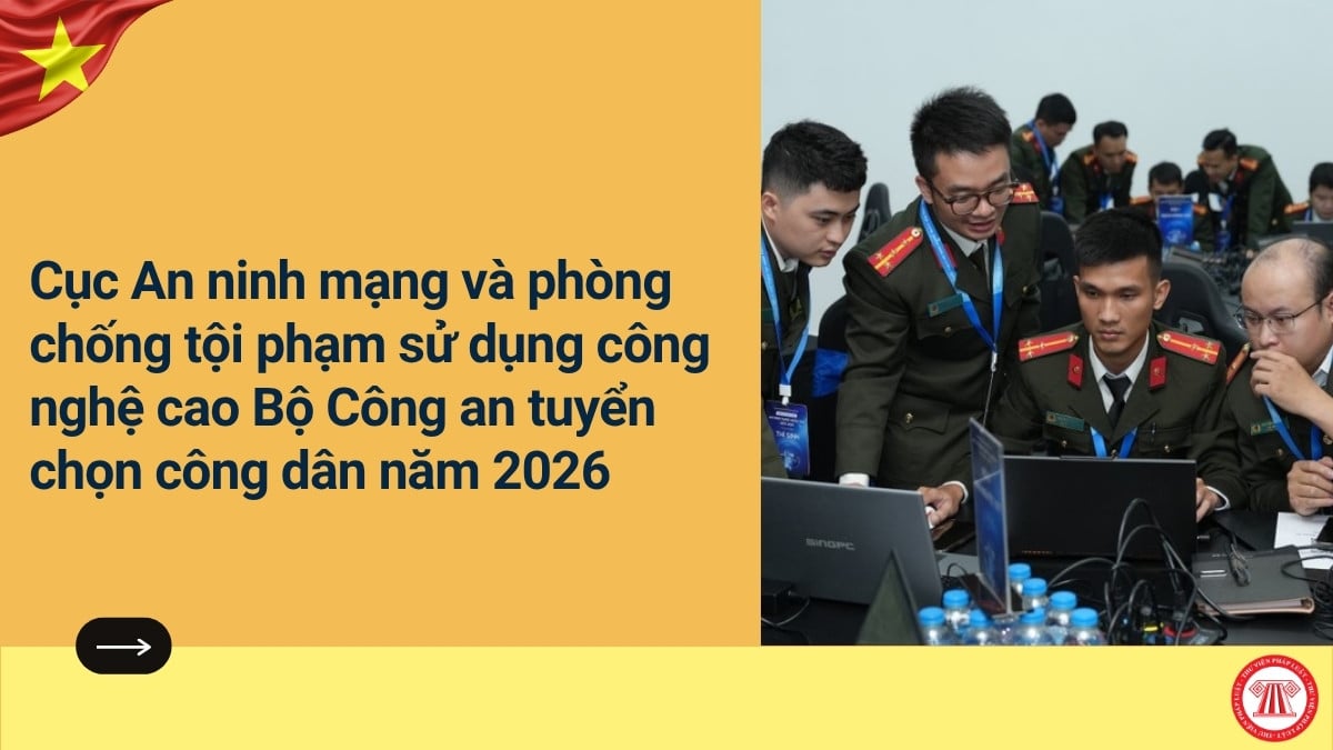 Pháp luật