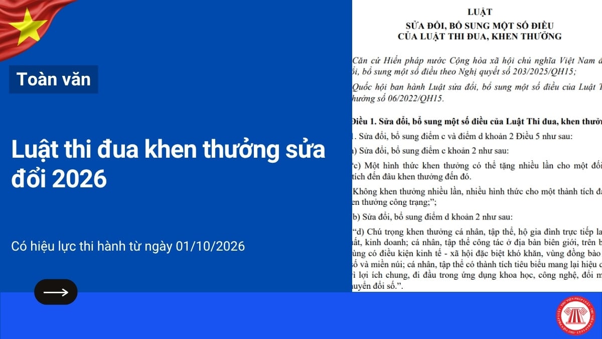 Pháp luật