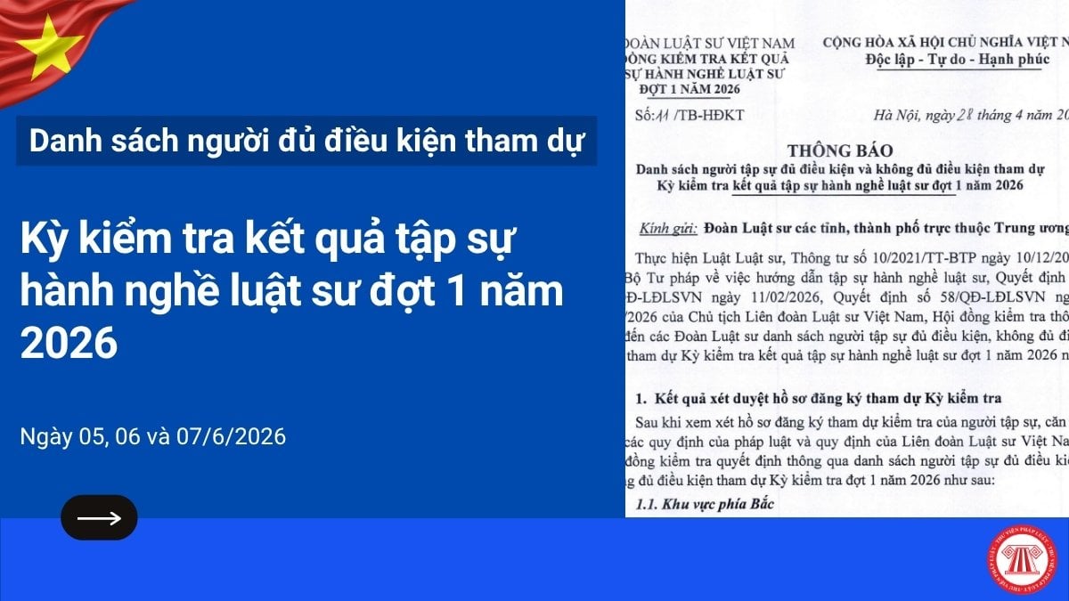 Pháp luật