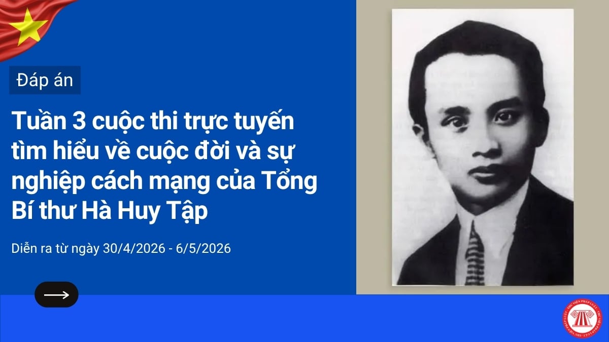 Pháp luật