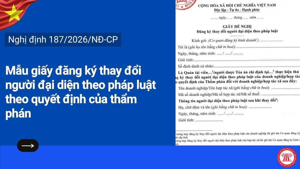 Pháp luật