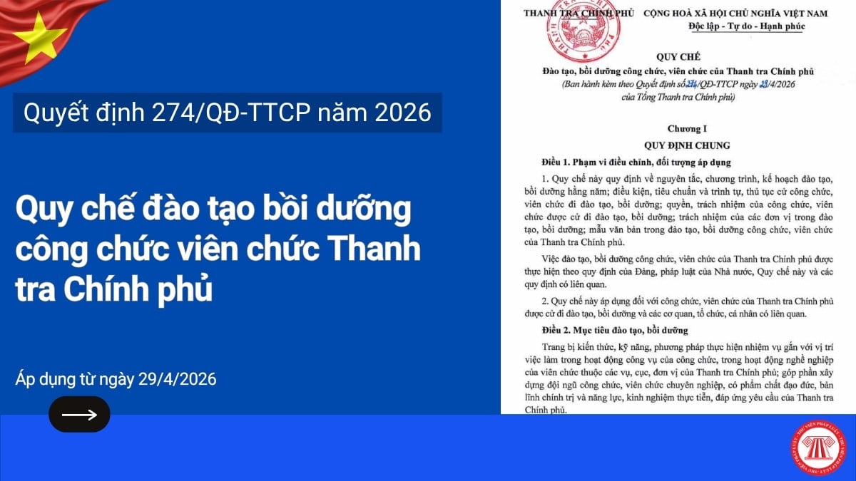 Pháp luật