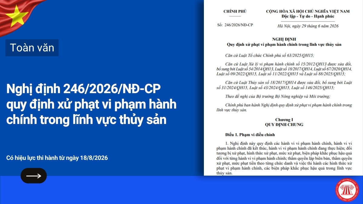 Pháp luật