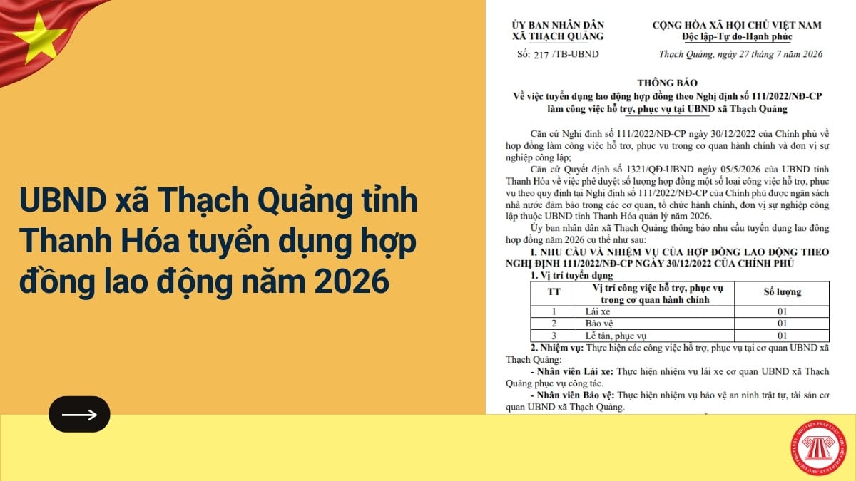 Pháp luật