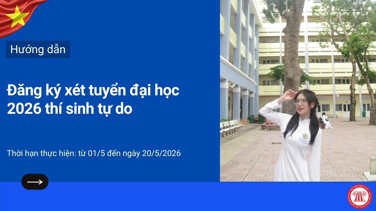 Pháp luật