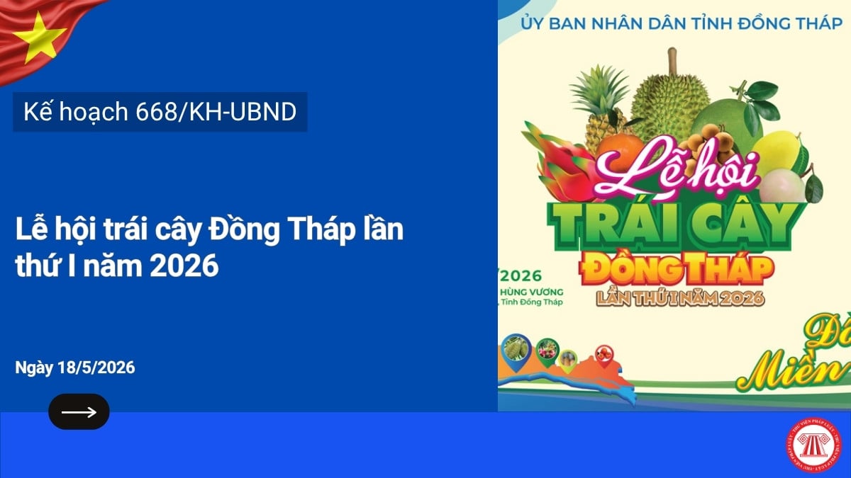 Pháp luật