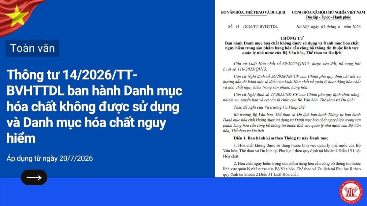 Pháp luật