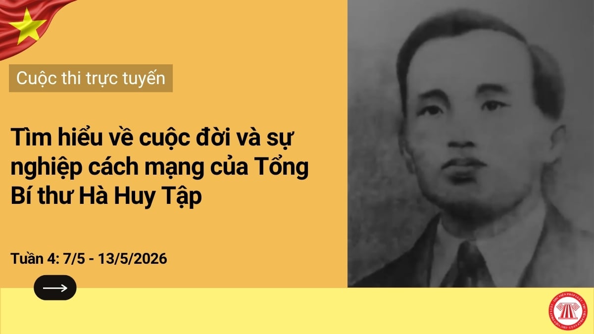 Pháp luật