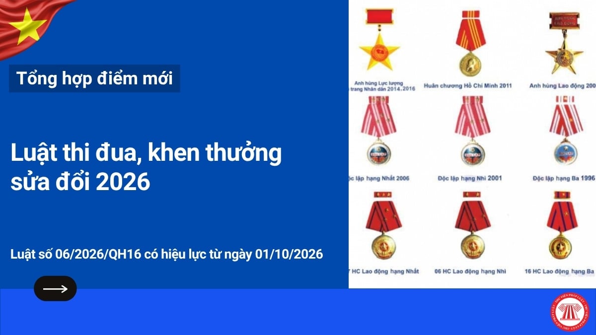 Pháp luật