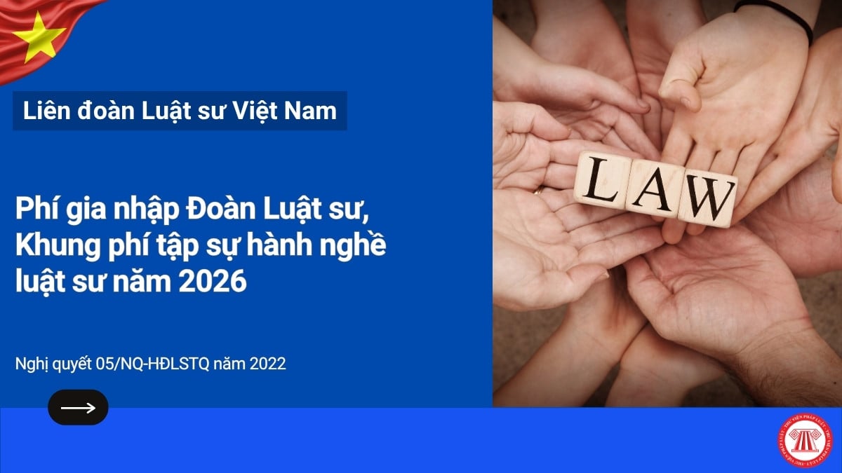 Pháp luật