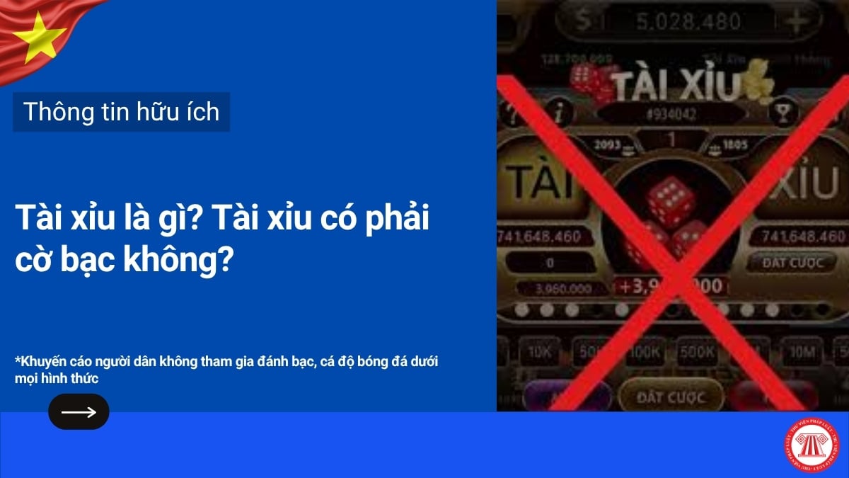 Pháp luật