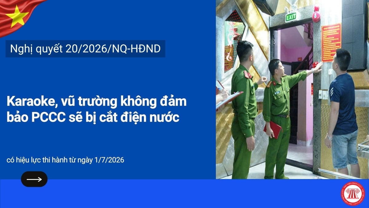Pháp luật