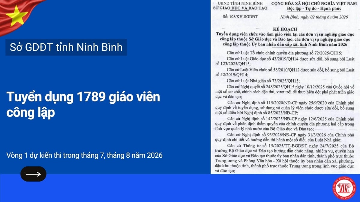 Pháp luật