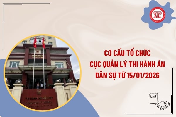 Pháp luật