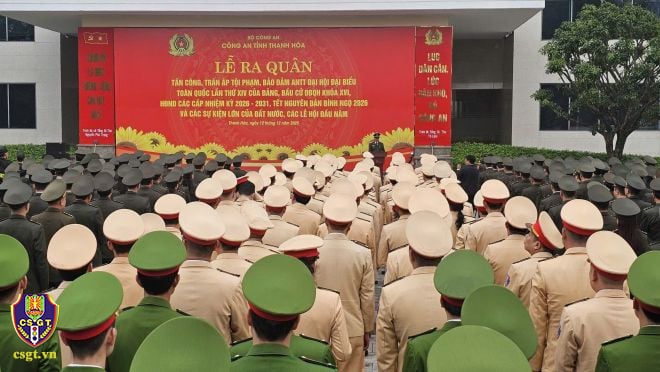 Pháp luật