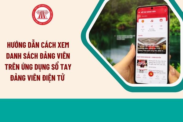 Pháp luật