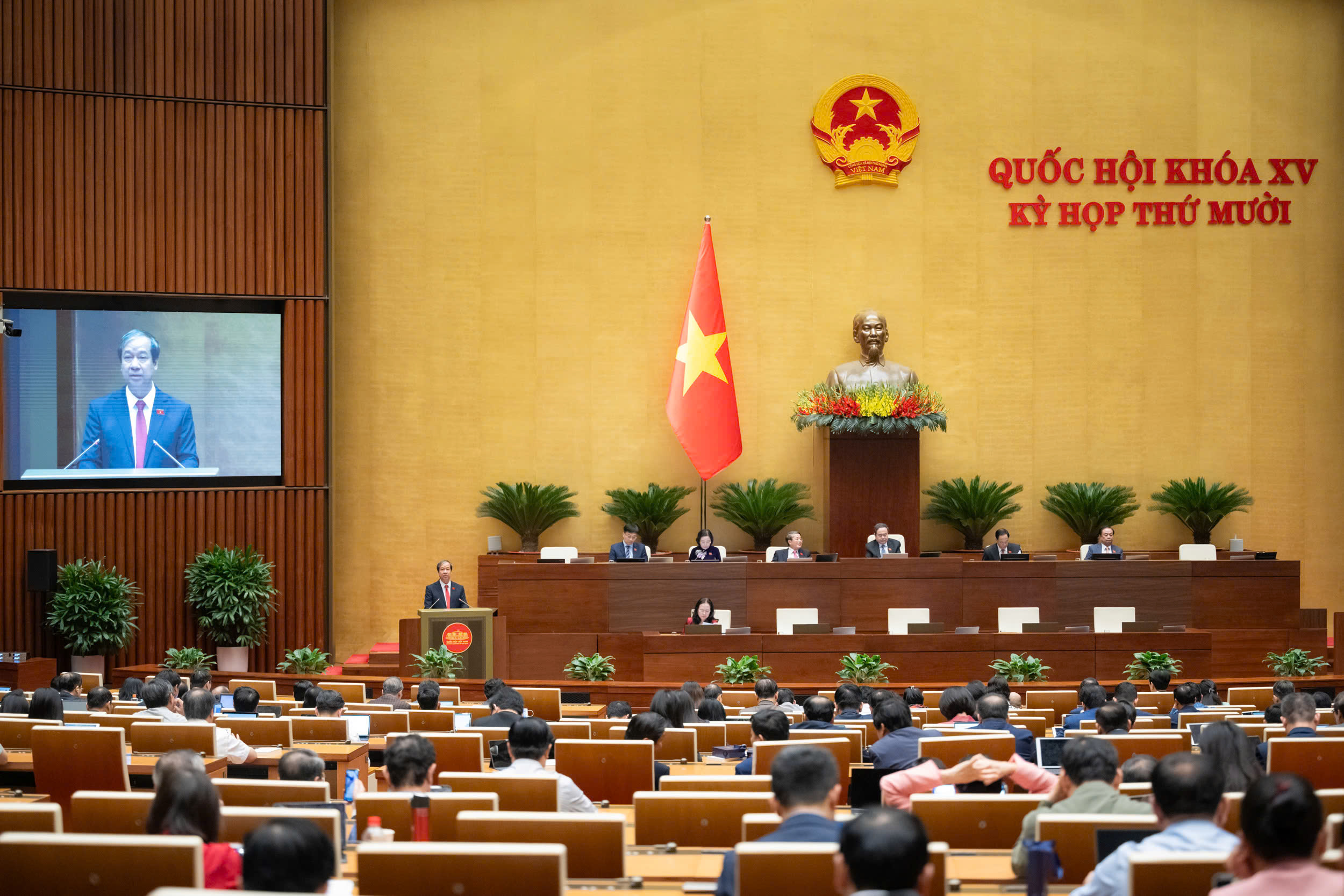 Pháp luật