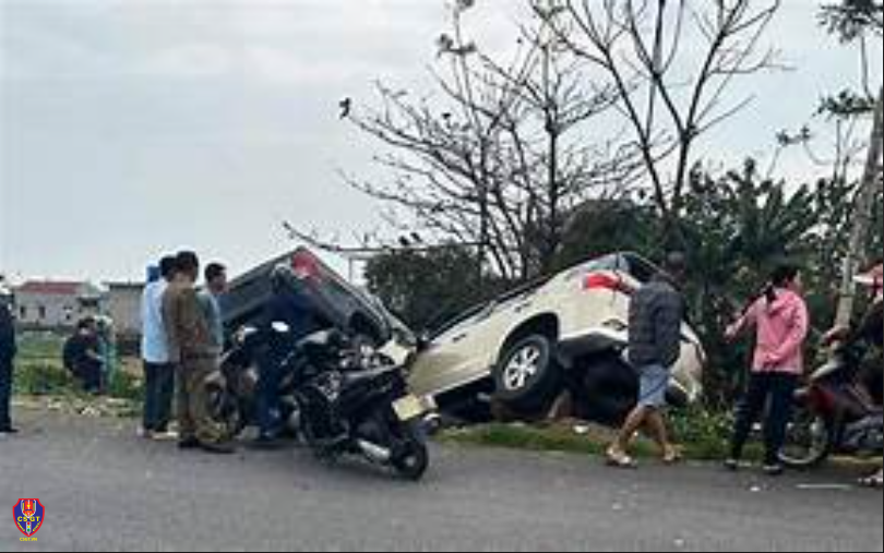 Pháp luật
