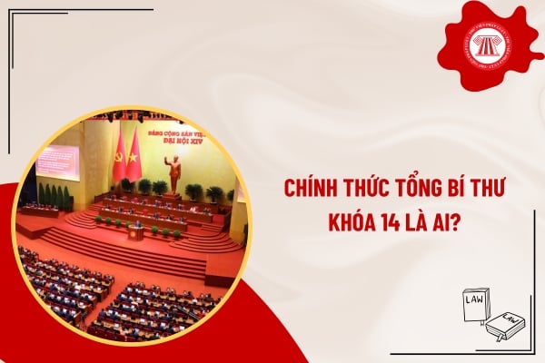 Pháp luật