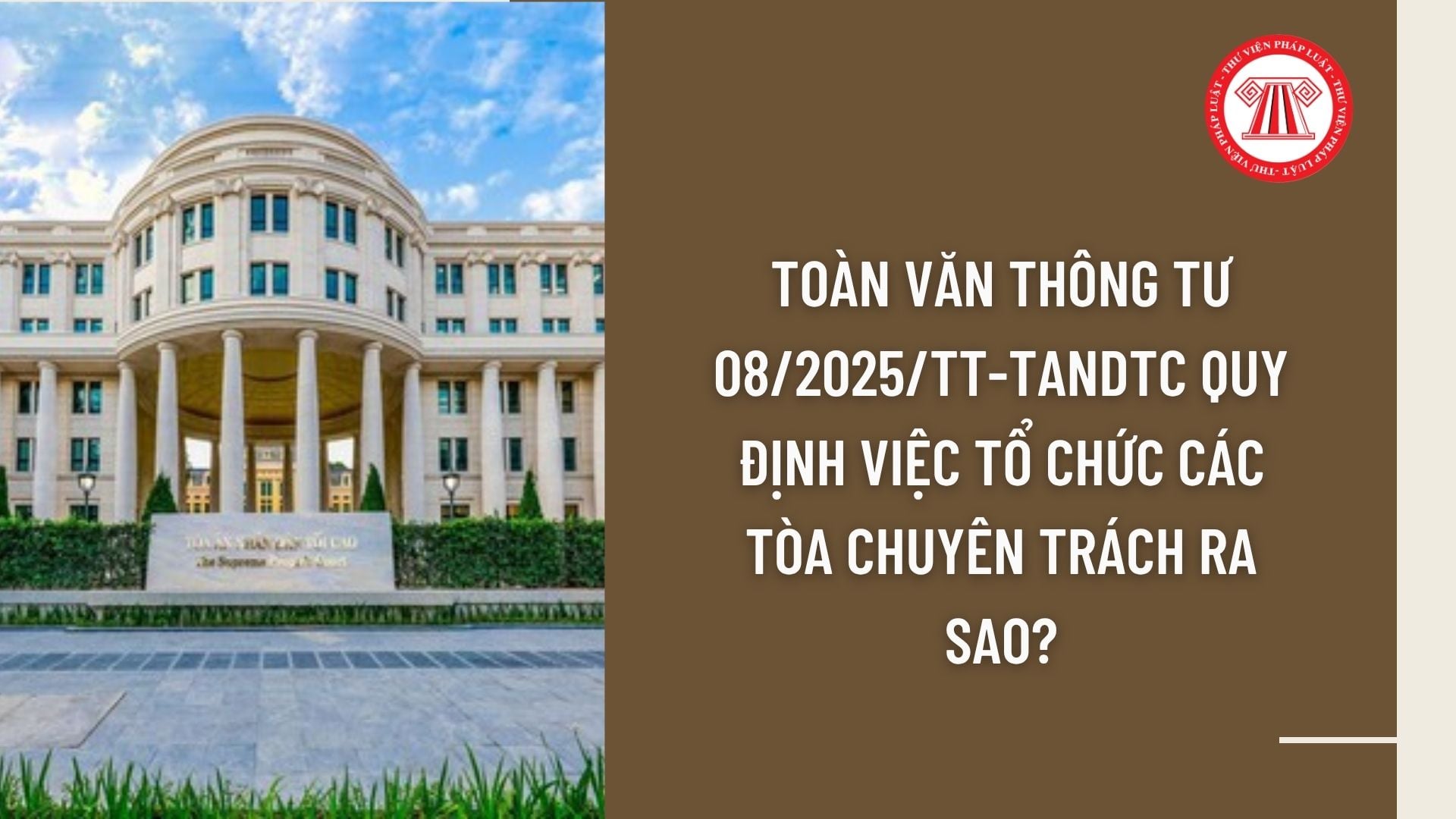 Pháp luật