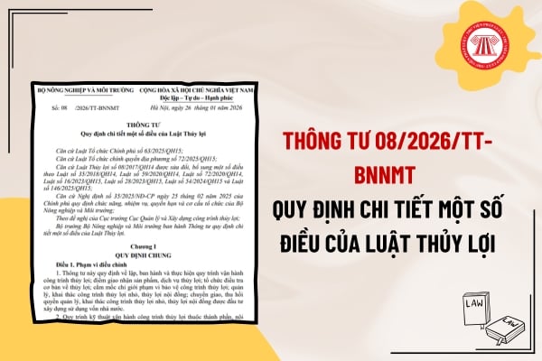Pháp luật