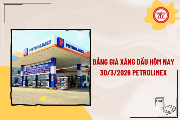 Pháp luật
