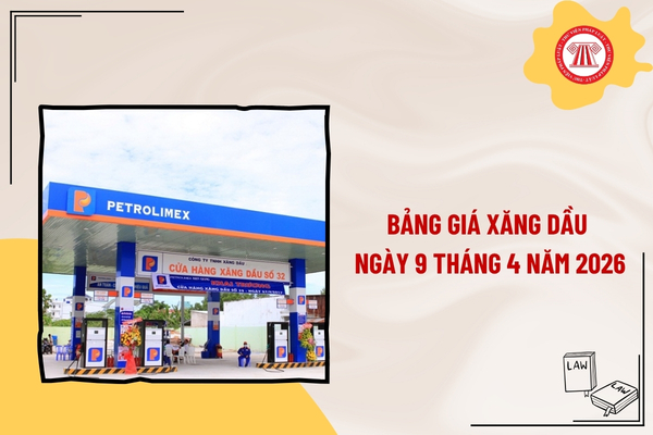 Pháp luật