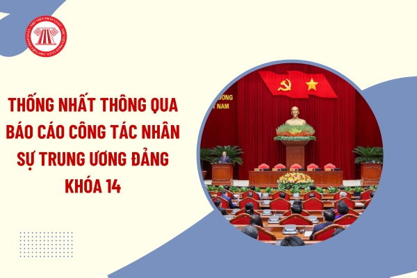 Pháp luật
