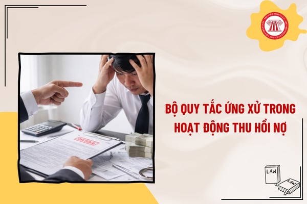 Pháp luật
