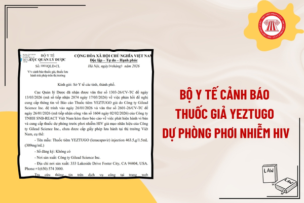 Pháp luật