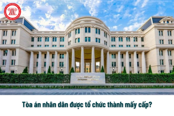 Pháp luật