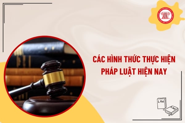 Pháp luật
