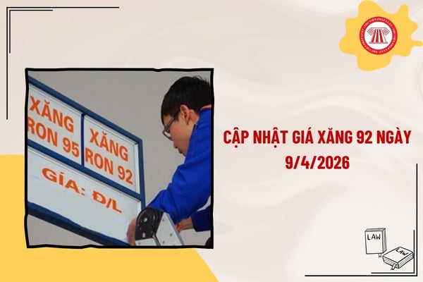 Pháp luật