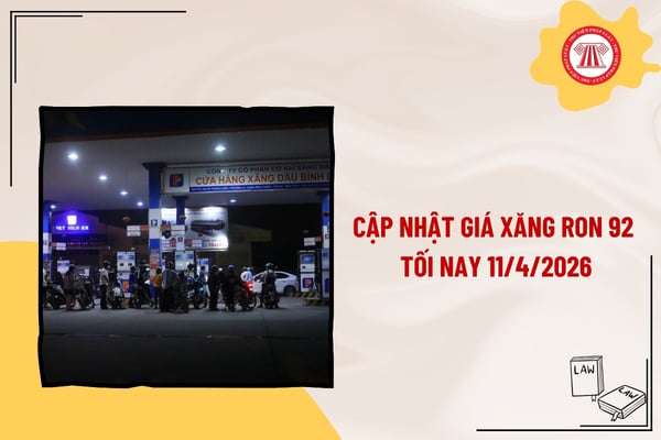 Pháp luật