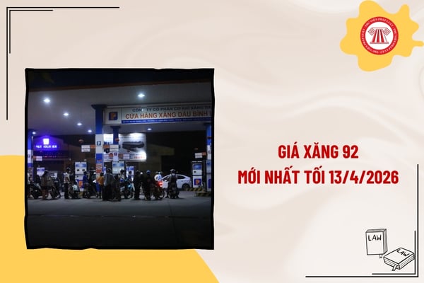 Pháp luật