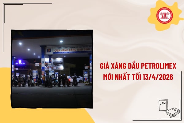 Pháp luật