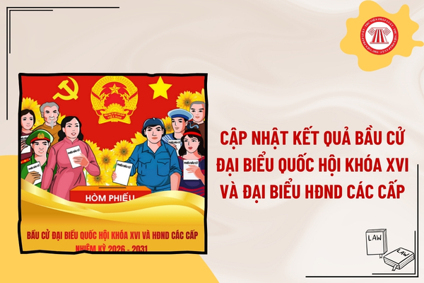 Pháp luật