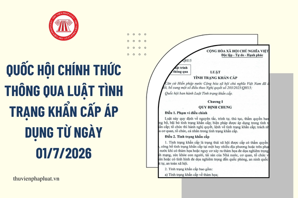 Pháp luật