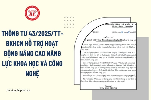 Pháp luật
