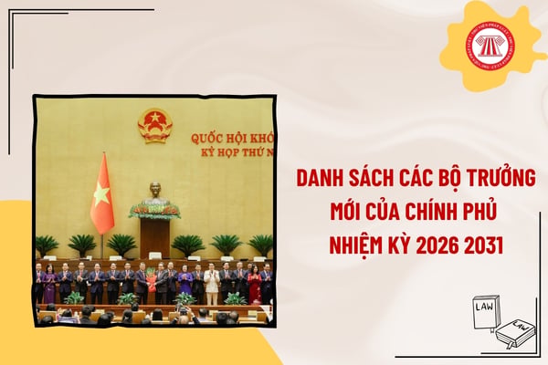 Pháp luật
