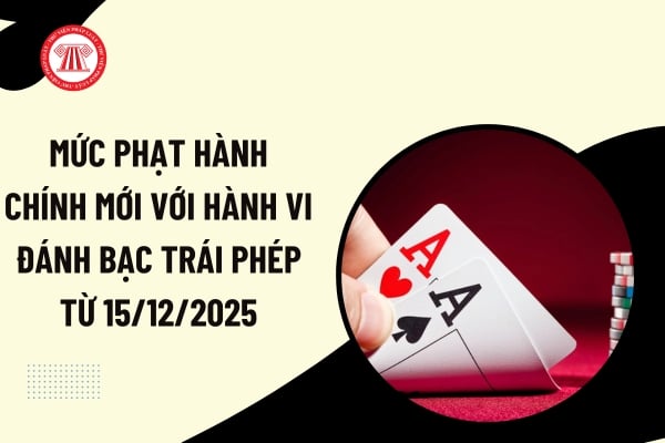 Pháp luật