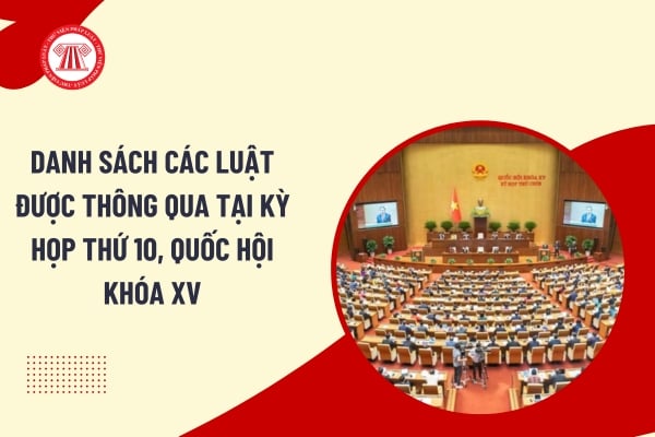 Pháp luật
