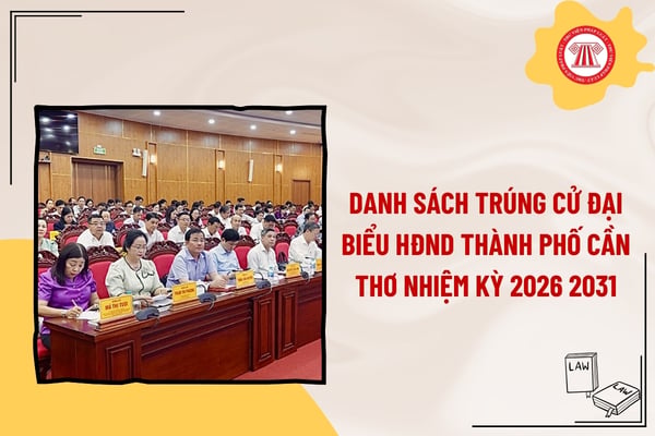 Pháp luật