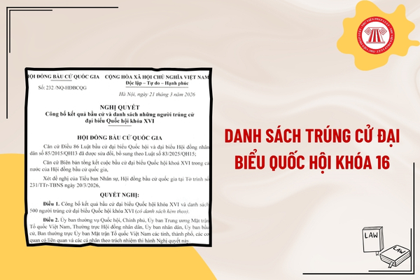 Pháp luật
