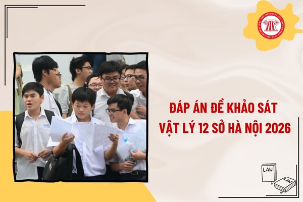 Pháp luật