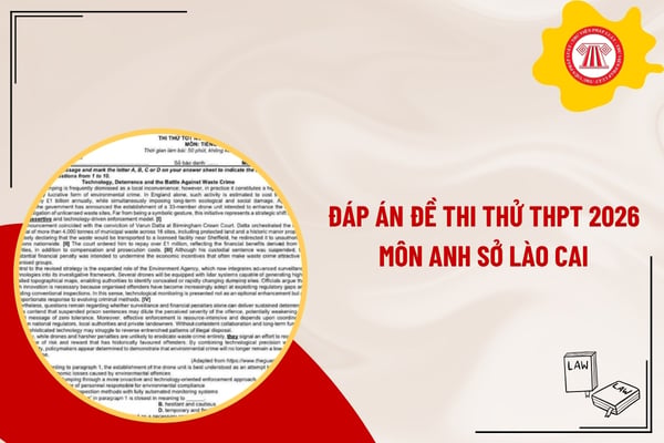 Pháp luật