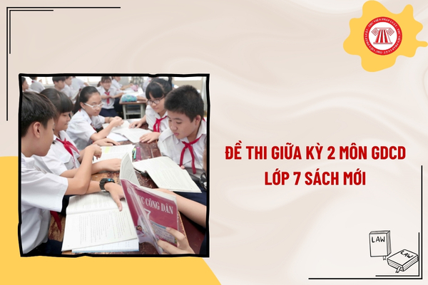 Pháp luật